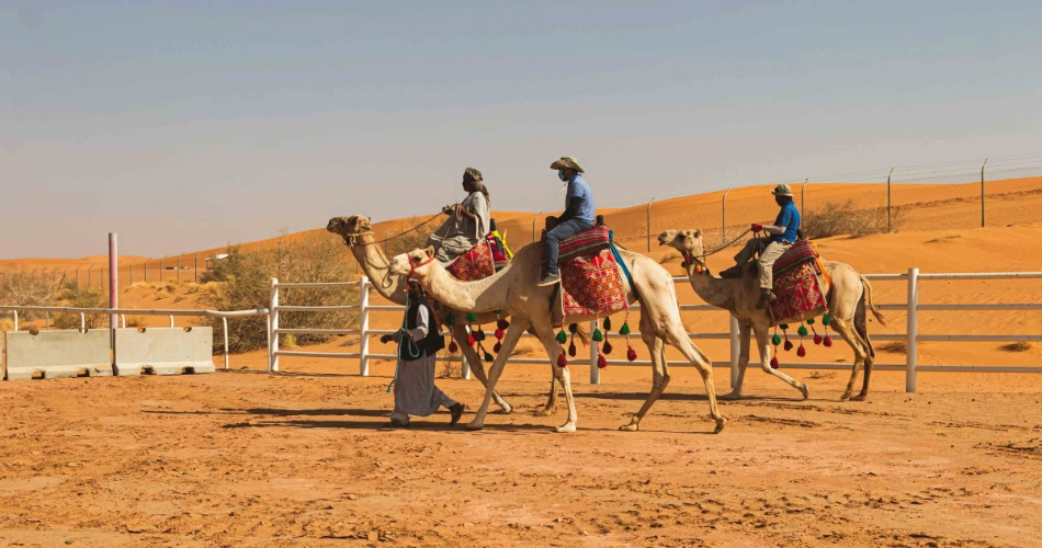 Top 10 Riyadh Day Trips